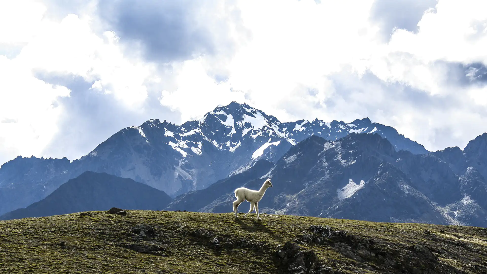 Travel to Peru